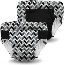 Load image into Gallery viewer, Original Lil Learnerz Training Pants & Swim Diaper :: Archive