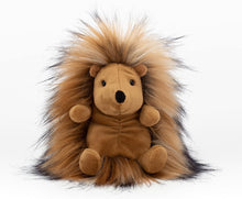 Load image into Gallery viewer, Jellycat Mad Pet Didi Hedgehog front view
