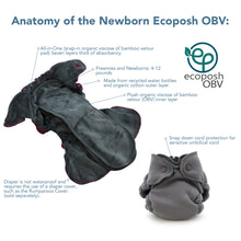 Load image into Gallery viewer, Anatomy of the Newborn Ecoposh OBV