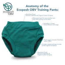Load image into Gallery viewer, Anatomy of the Ecoposh OBV Training Pants