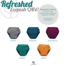 Load image into Gallery viewer, OBV colors