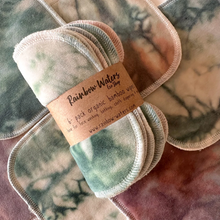 Load image into Gallery viewer, Rainbow Waters Evergreen & Berries 6 pack overhead image