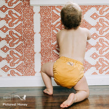 Load image into Gallery viewer, Baby in Honey Yellow Rumparooz G3 One Size Pocket Diaper