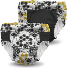 Load image into Gallery viewer, Lil Learnerz Training Pants (2pk) - Unity