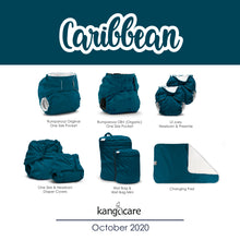 Load image into Gallery viewer, Caribbean (deep teal) product line up
