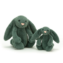 Load image into Gallery viewer, Jellycat Bashful Forest Bunny size comparison
