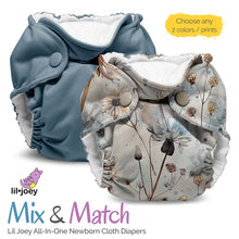 Load image into Gallery viewer, Lil Joey All-In-One Cloth Diapers