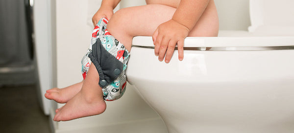 potty training underwear