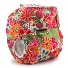Load image into Gallery viewer, Rumparooz G2 Pocket Cloth Diaper | One Size Stay-Dry :: Archive
