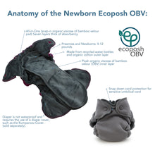Load image into Gallery viewer, Anatomy of the Newborn Ecoposh OBV
