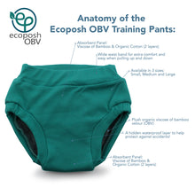 Load image into Gallery viewer, Anatomy of the Ecoposh Training Pants
