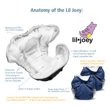 Load image into Gallery viewer, Anatomy of the Lil Joey graphic
