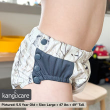 Load image into Gallery viewer, Lil Learnerz 2.0 Training Pants &amp; Swim Diapers in Aspen Glow Birch Winter Scenery
