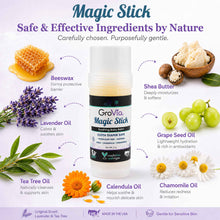 Load image into Gallery viewer, GroVia Magic Stick with natural ingredients displayed around it on a white background
