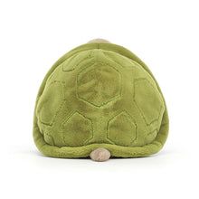 Load image into Gallery viewer, Timmy Turtle seated rear view
