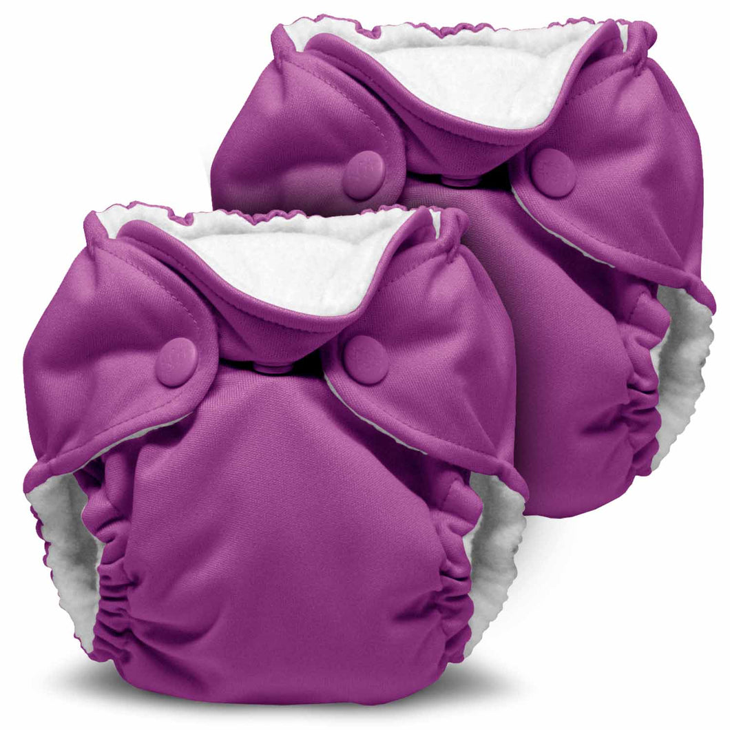 Orchid Lil Joey - 2 pack